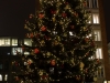 weihnachtsbaum-bremen