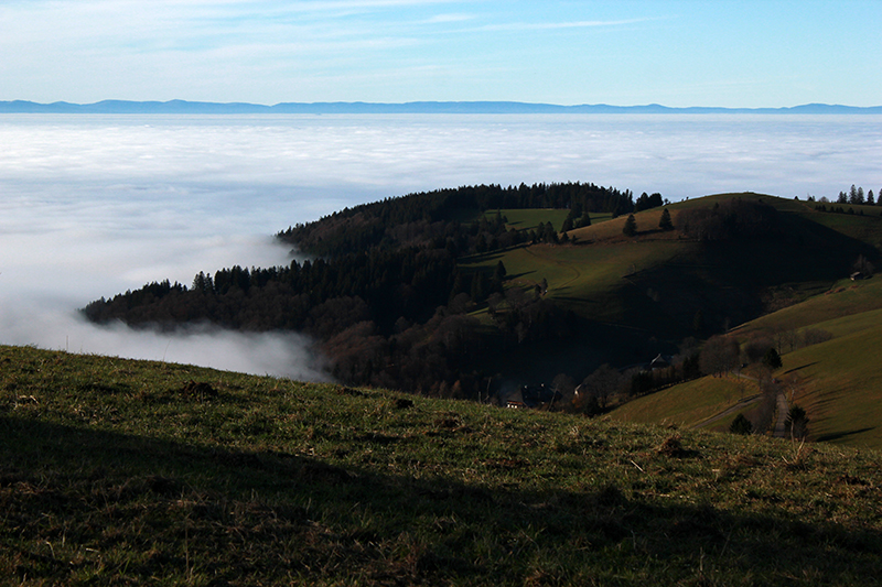 Nebel über dem Schwarzwald auf dem Schauinsland