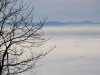Nebel über dem Schwarzwald auf dem Schauinsland