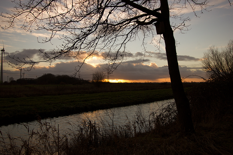 Sonnenuntergang im Werderland