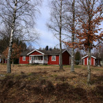 Natur pur in Schweden