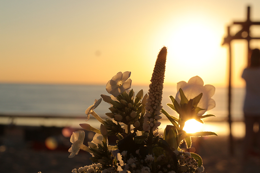 Blumen im Sonnenuntergang